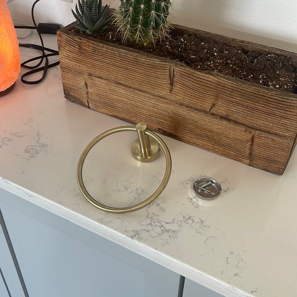 CB2 towel holder